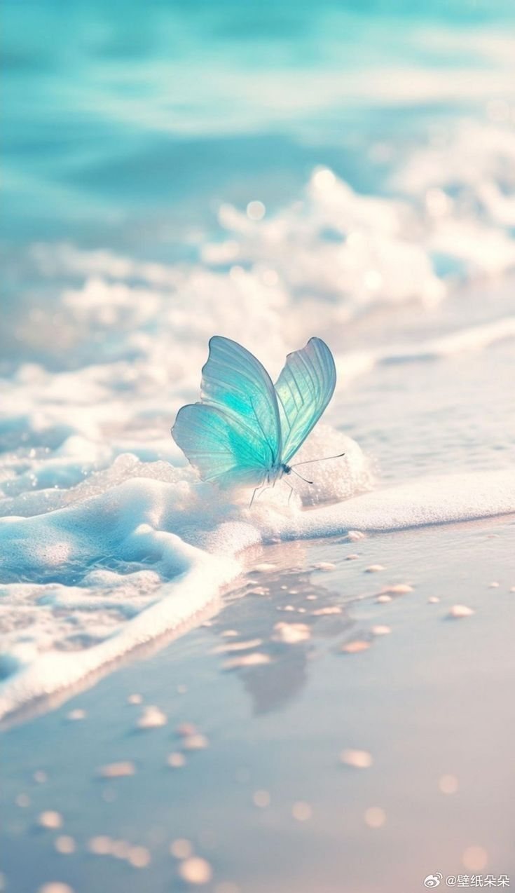 Borboleta azul na praia